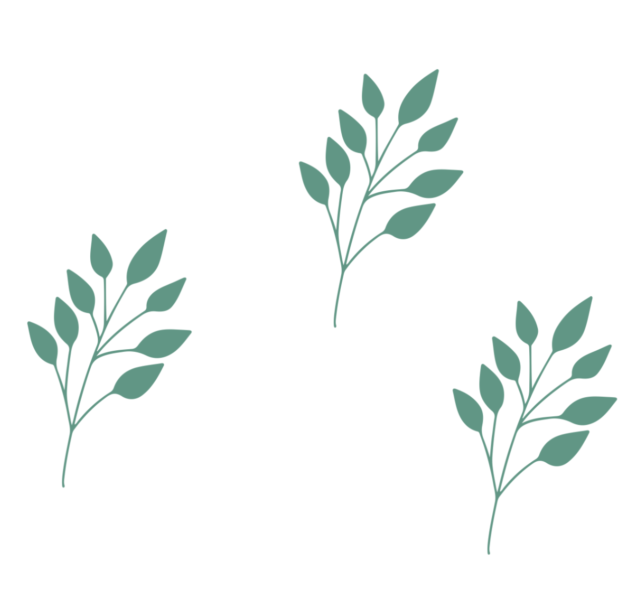image4.png