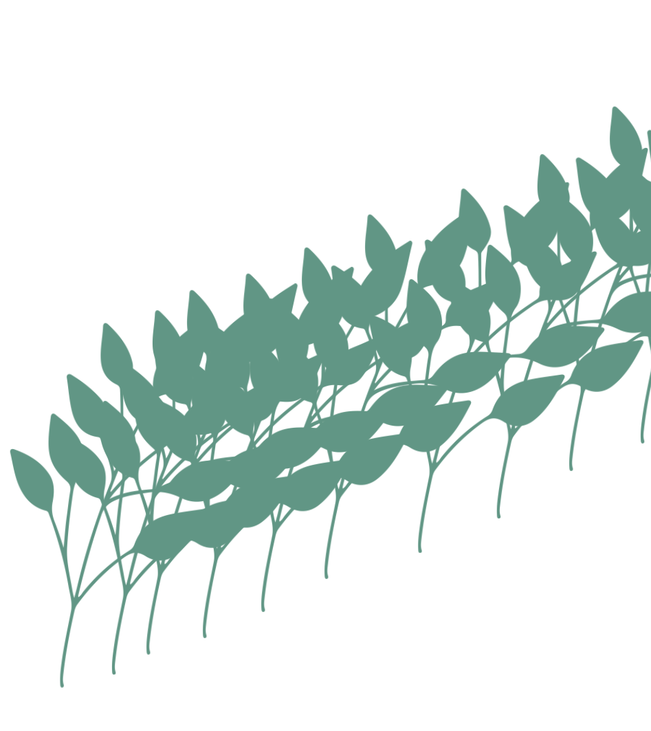 image1.png