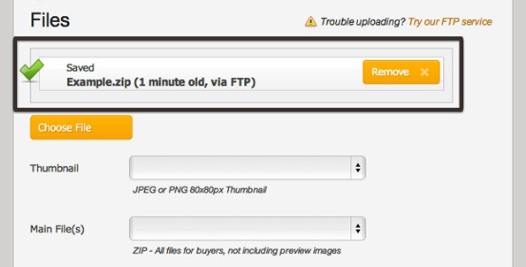 ftp2_2.jpg